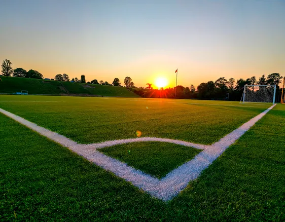 Quality Training Grounds